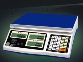 JNS系列電子計(jì)價(jià)秤
